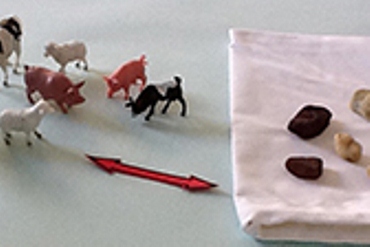 Toy animals and rocks are used to demonstrate counting