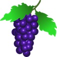 Cartoon purple grapes