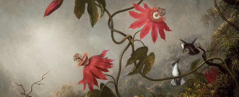 The Brilliance of Bird and Flower Painting
