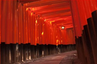 Japan torii gates