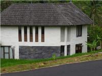 Devon's new home is a newly built two-story Indonesian house with a thatched roof.