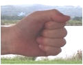 hand forming a fist or a clenched fist