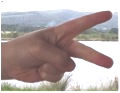 a hand formed with the forefinger and middle finger creating 2
