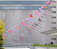 Two rows of flying carp streamer