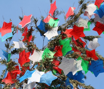 Paper stars are strung up in a tree for a Japanese festival