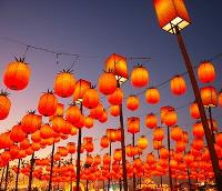 Orange lanterns are lit to celebrate the Lantern Festival